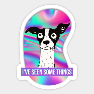 I've Seen Some Things - Weird Funny Bug Eyed Black and White Dog with Psychadelic Background (Purple) Sticker